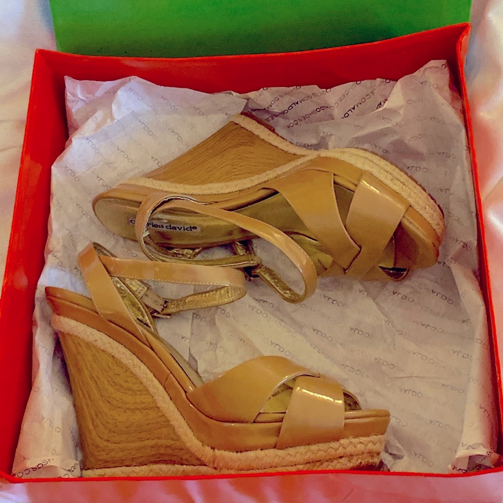 Charles David wedge Size 8